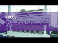 SDPLUS   broken rice