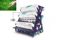 AI Variable Light Control Technology Tea Color Sorter With High Sorting Accuracy