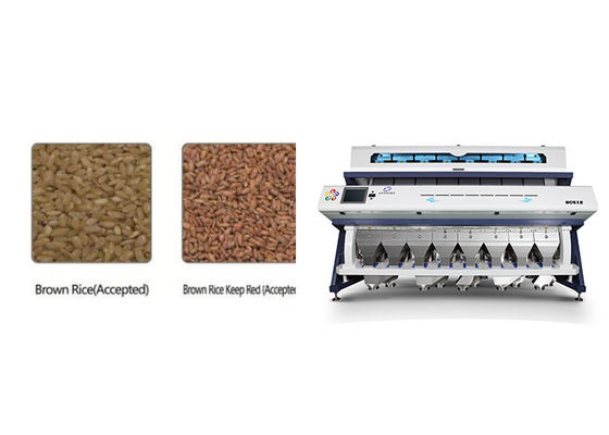 8 Chute Cloud Control Brown Rice Colour Sorter Machine